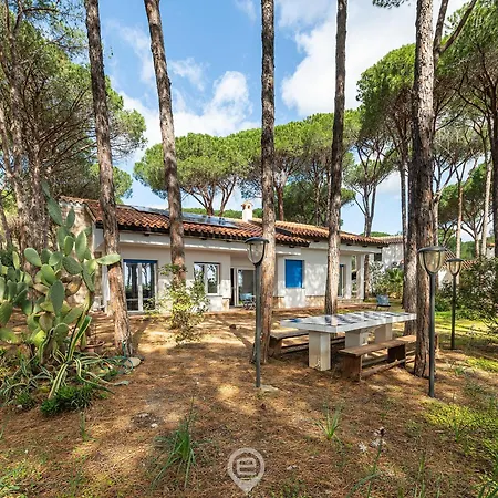 Coastal Pine Paradise Villa