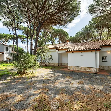 Coastal Pine Paradise *